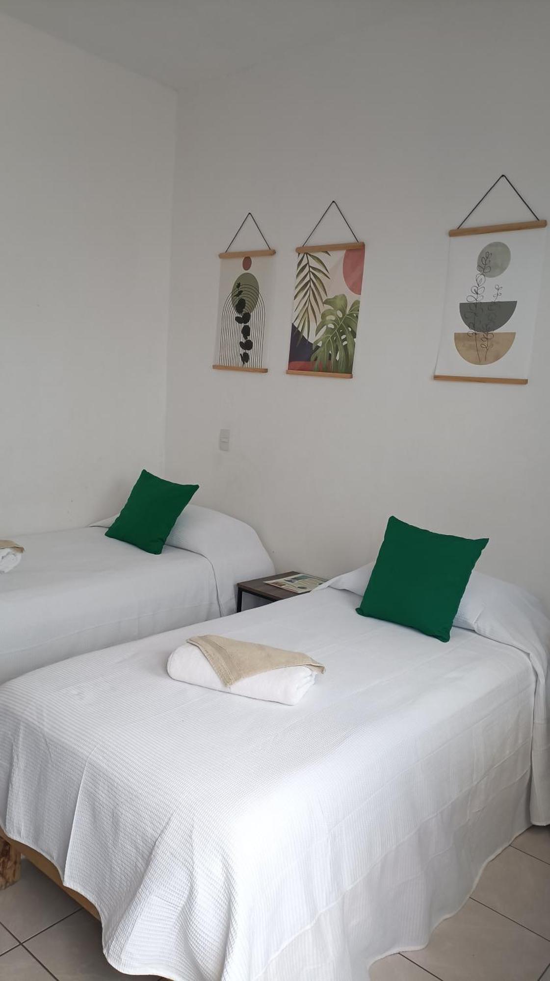 Tauch Cancun Centro ภายนอก รูปภาพ